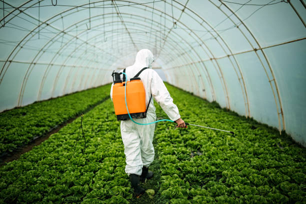 Best Affordable Pest Control Services  in Natchez, MS