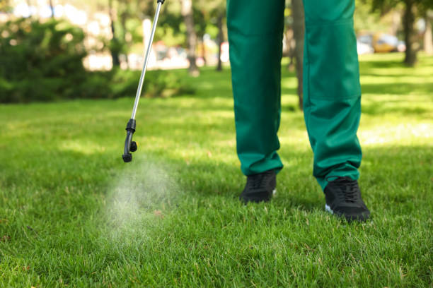 Best Affordable Pest Control Services  in Natchez, MS